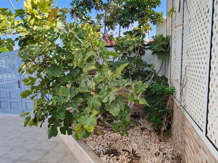 Image No.34-3 Bed Villa for sale