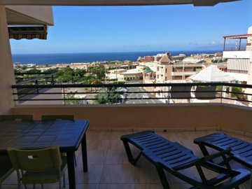 484693137terracenr201