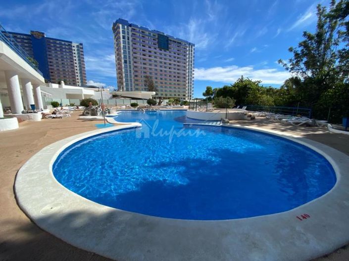 Image No.26-Studio for sale