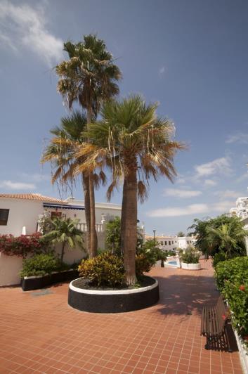 Image No.22-1 Bed Apartment for sale