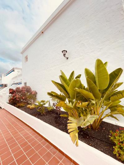 Image No.30-1 Bed Apartment for sale