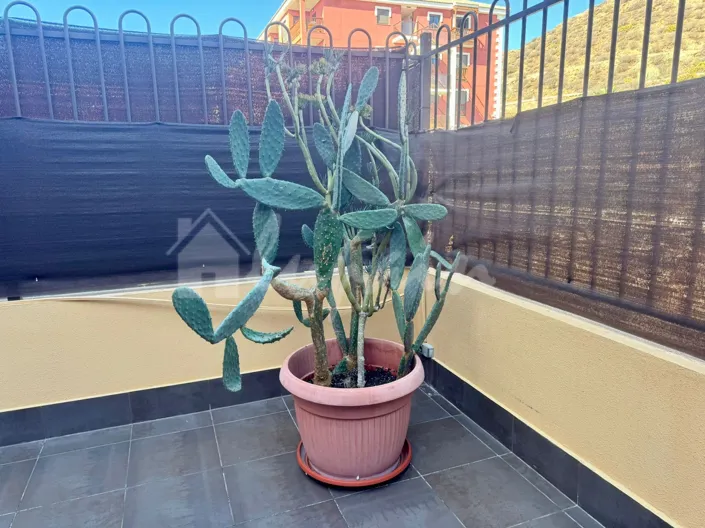 Image No.25-1 Bed Apartment for sale