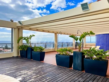 original40675c649654071jpg