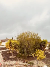 originalwhatsapp-image-2025-03-25-at-13-01-19