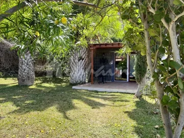 originalwhatsapp-image-2025-03-31-at-12-54-17