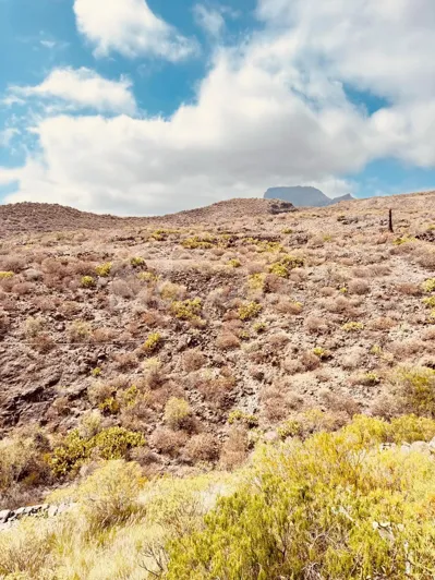 Image No.27-3 Bed Townhouse for sale