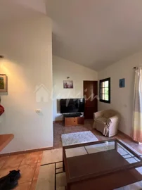 original86890ce78ec962jpg