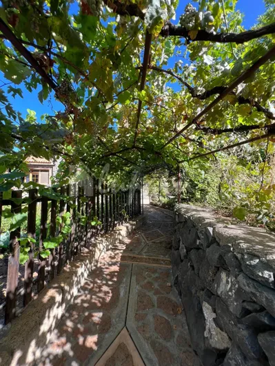 Image No.42-4 Bed Country House for sale