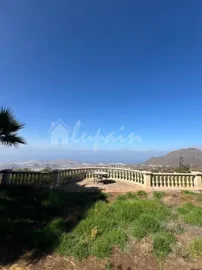 original216890cec90f415jpg