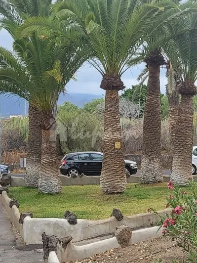 Image No.3-3 Bed Apartment for sale