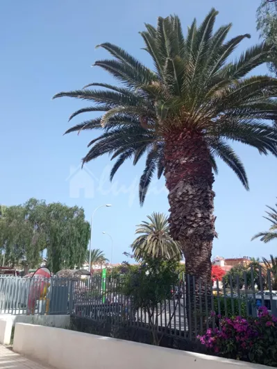 Image No.36-2 Bed Apartment for sale