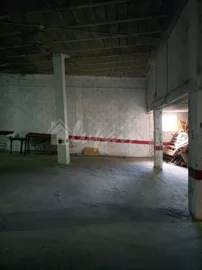 originalwhatsapp-image-2025-09-24-at-17-46-02