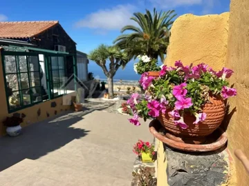 originalwhatsapp-image-2025-09-24-at-13-55-53