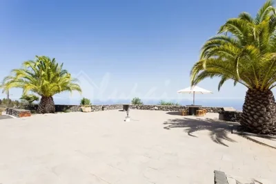 originalwhatsapp-image-2025-06-03-at-16-25-08