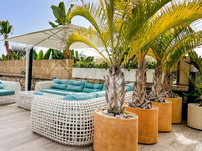 Image No.8-4 Bed Villa for sale