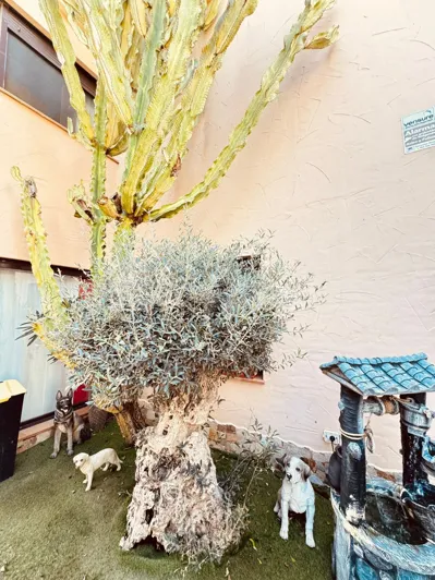 Image No.29-3 Bed Villa for sale