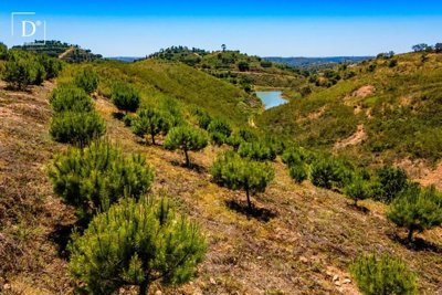 1-9349-a6143ebb3cb0547d86cbab874af8e5c603a533