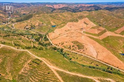 1-9349-a6143ebb3cb0547d86cbab874af8e5c603a533