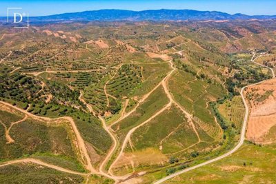 1-9349-a6143ebb3cb0547d86cbab874af8e5c603a533