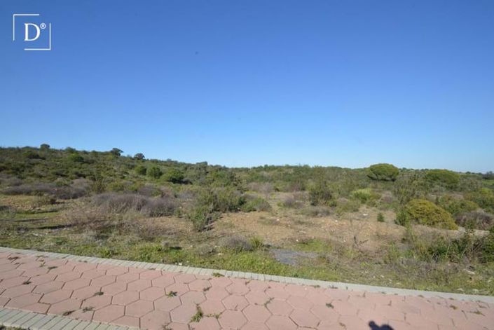 Image No.3-Land for sale