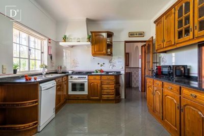 1-11071-a6143ebb3cb0547d86cbab874af8e5c603a53