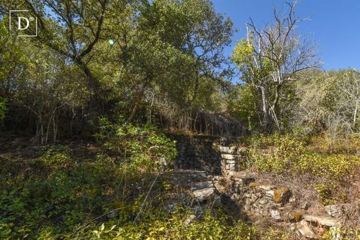 Image No.19-5 Bed Villa for sale