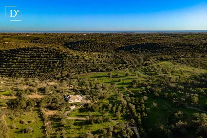 Image No.31-3 Bed Villa for sale