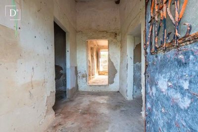 1-11915-a6143ebb3cb0547d86cbab874af8e5c603a53