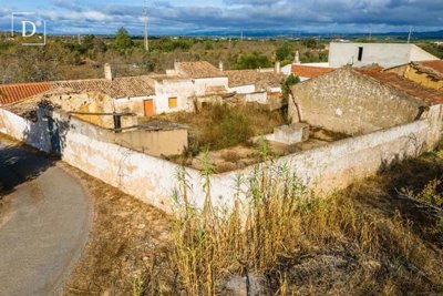 1-11915-a6143ebb3cb0547d86cbab874af8e5c603a53