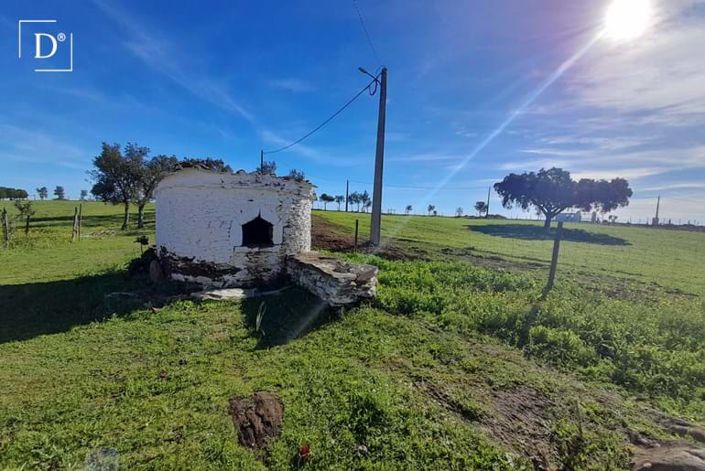 Image No.7-3 Bed Villa for sale