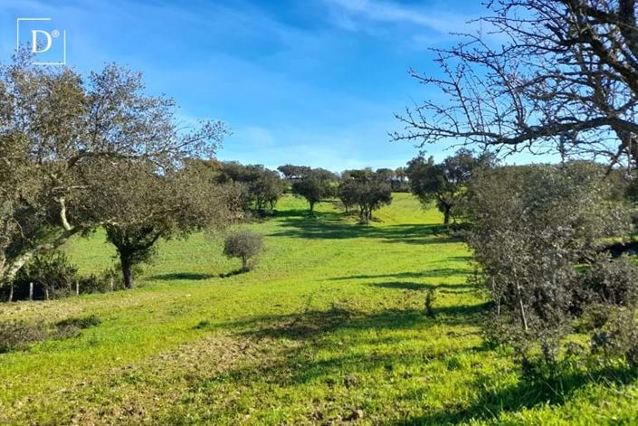 Image No.8-3 Bed Villa for sale