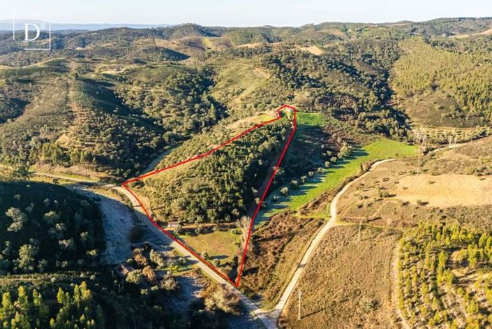 Image No.3-Villa for sale