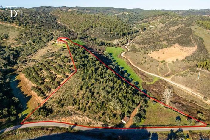 Image No.5-Villa for sale