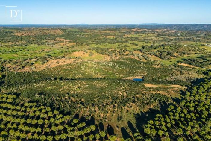 Image No.3-Land for sale