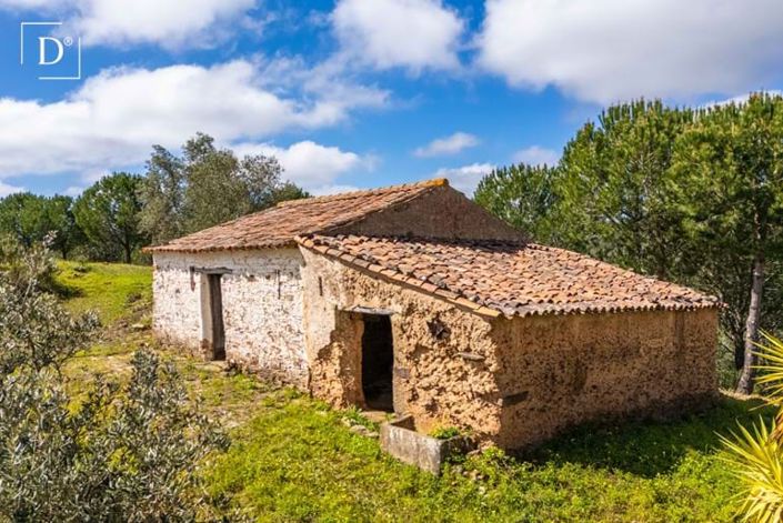 Image No.2-Villa for sale