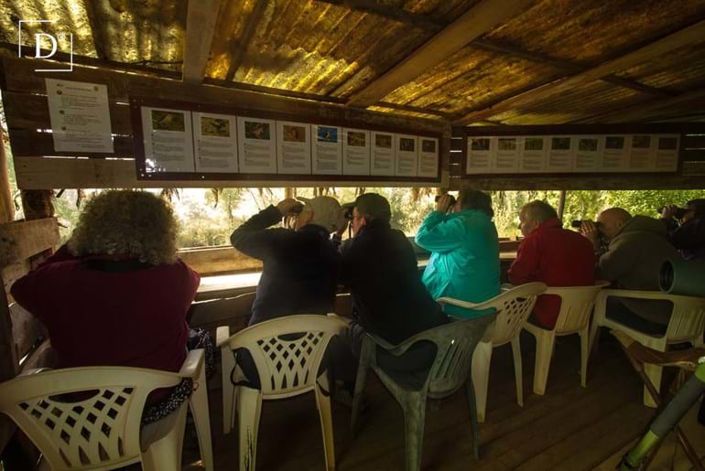 Image No.12-16 Bed Property for sale