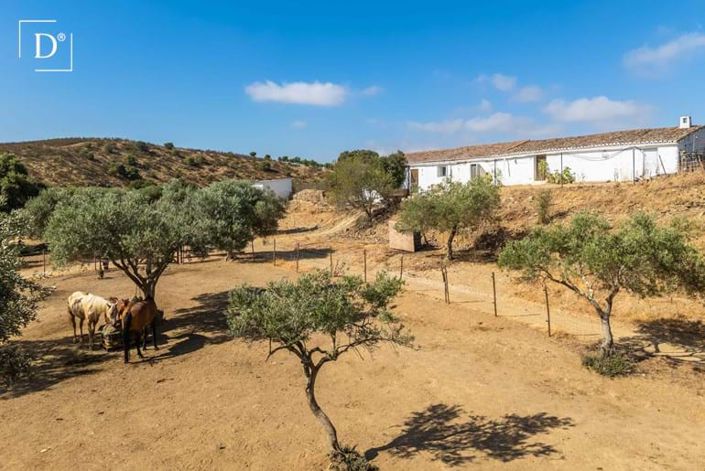 Image No.1-2 Bed Villa for sale