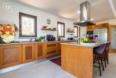 1-12138-a6143ebb3cb0547d86cbab874af8e5c603a53