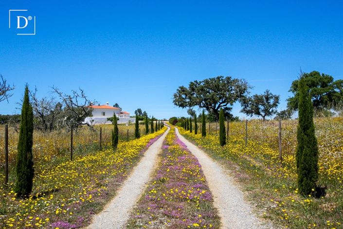 Image No.5-4 Bed Villa for sale