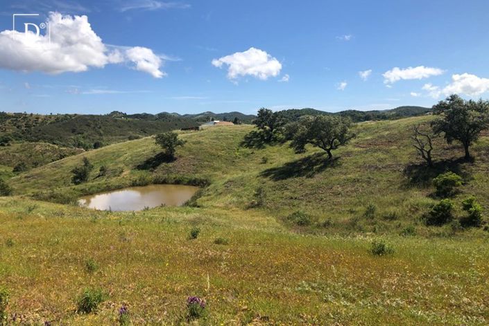 Image No.7-Land for sale