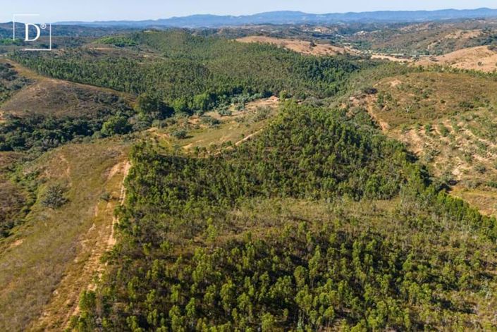 Image No.33-4 Bed Villa for sale