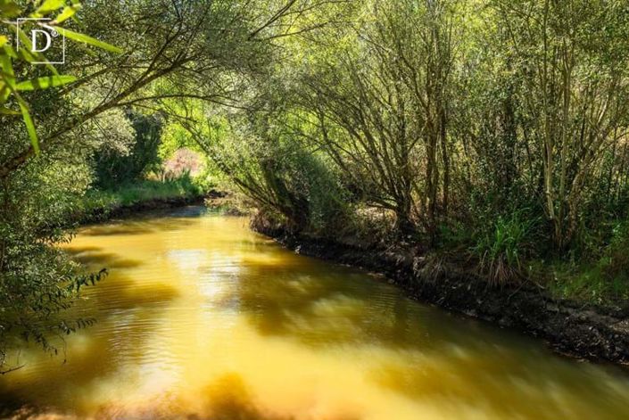 Image No.35-4 Bed Villa for sale