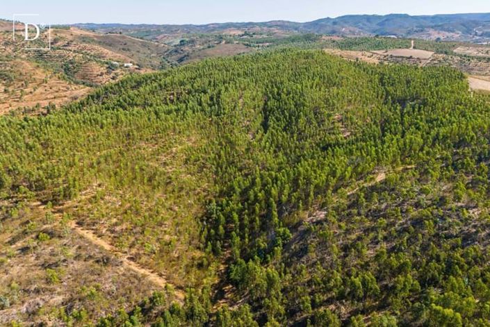 Image No.39-4 Bed Villa for sale