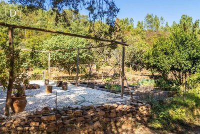 1-12319-a6143ebb3cb0547d86cbab874af8e5c603a53