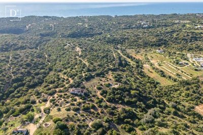 1-12354-a6143ebb3cb0547d86cbab874af8e5c603a53