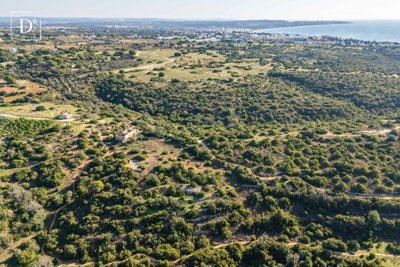 1-12354-a6143ebb3cb0547d86cbab874af8e5c603a53