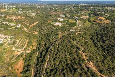 1-12354-a6143ebb3cb0547d86cbab874af8e5c603a53