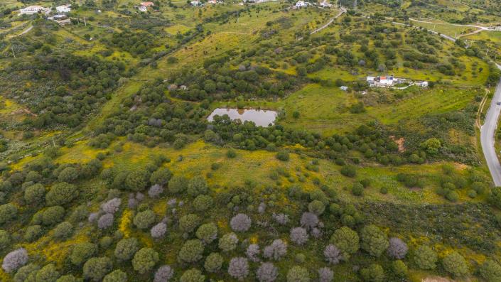 Image No.3-Land for sale