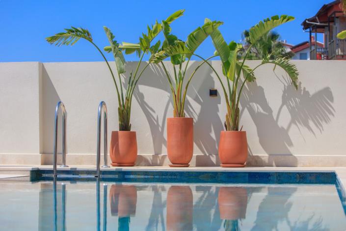 Image No.39-3 Bed Villa / Detached for sale