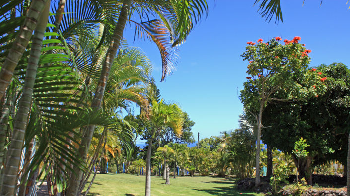 Image No.14-4 Bed Villa for sale